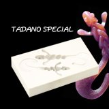 画像: TADANO SPECIAL